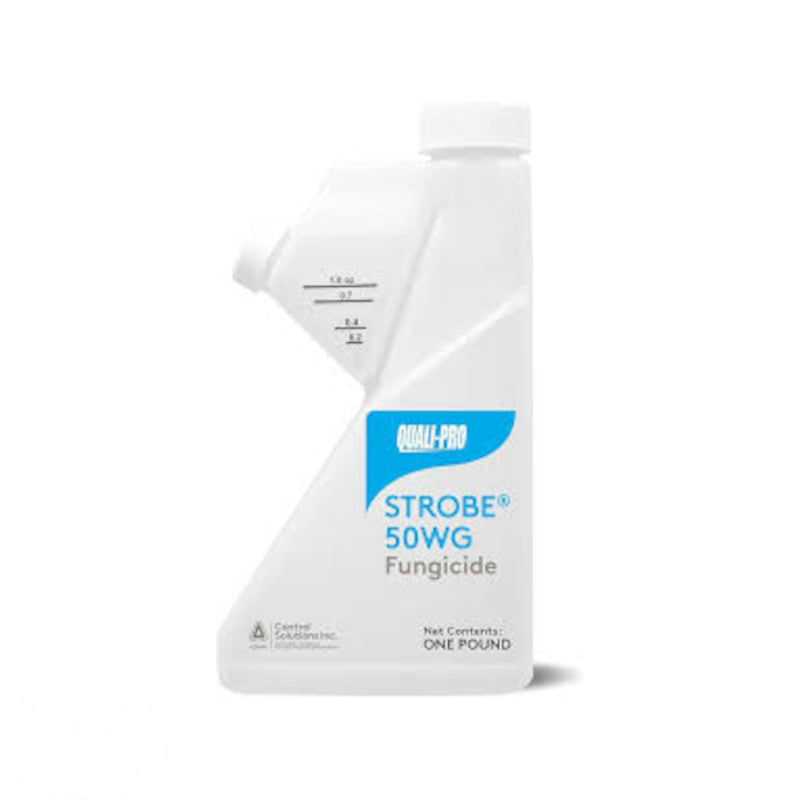 Quali-Pro Strobe 50 WG