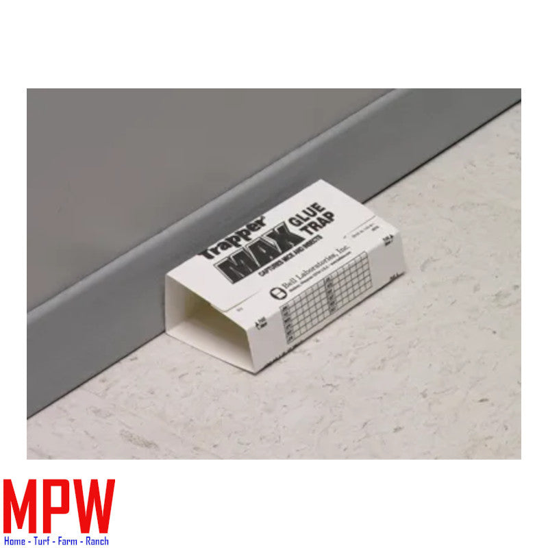 Trapper Max Glue Boards